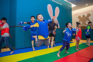 儿童体育培训现货批发,兔 熊儿童运动馆立足儿童篮球训练技术精湛质量优